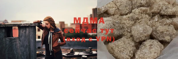 индика Протвино