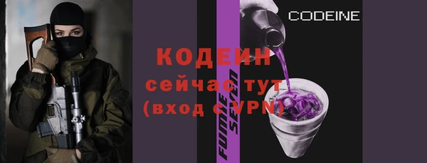 индика Протвино